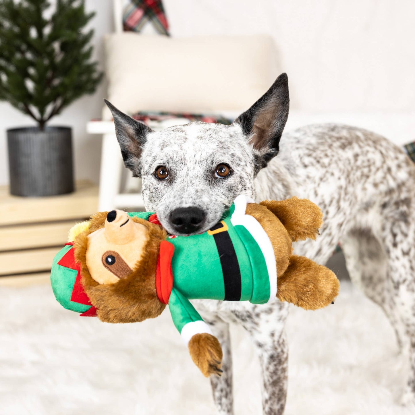 TREAT YO’ ELF PLUSH DOG TOY