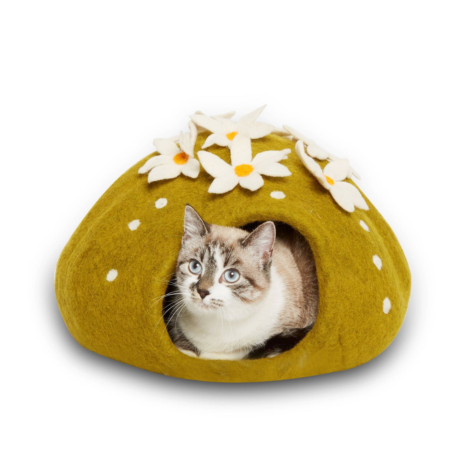 Cactus Wool Pet Cave