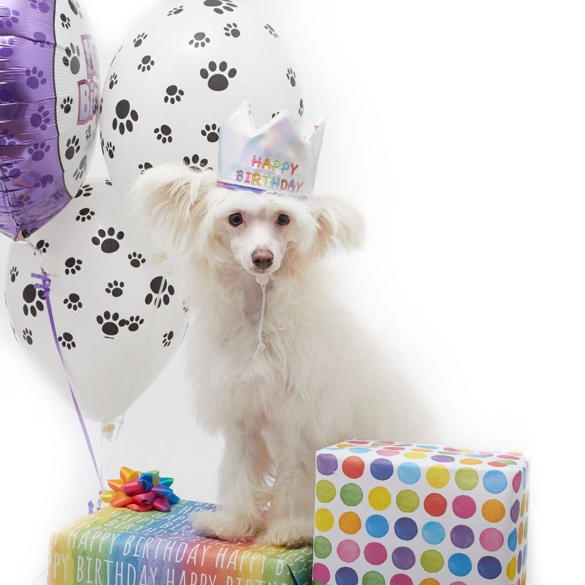 Custom Number Happy Birthday Pet Crown