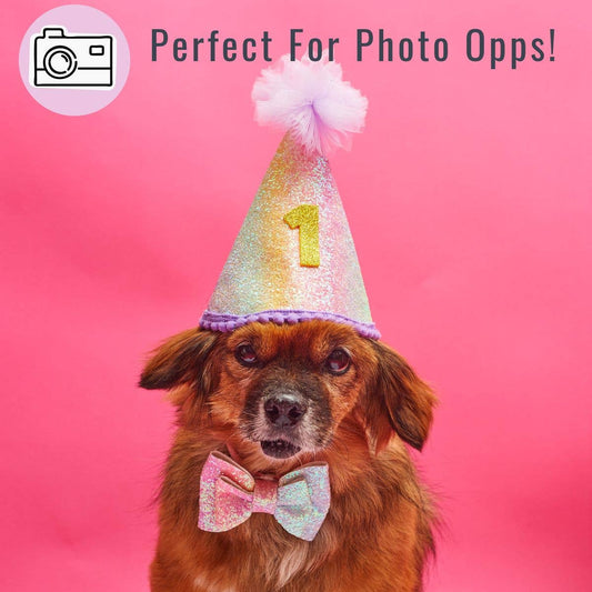 Rainbow Pastel Custom Happy Birthday Party Dog Hat & Bow