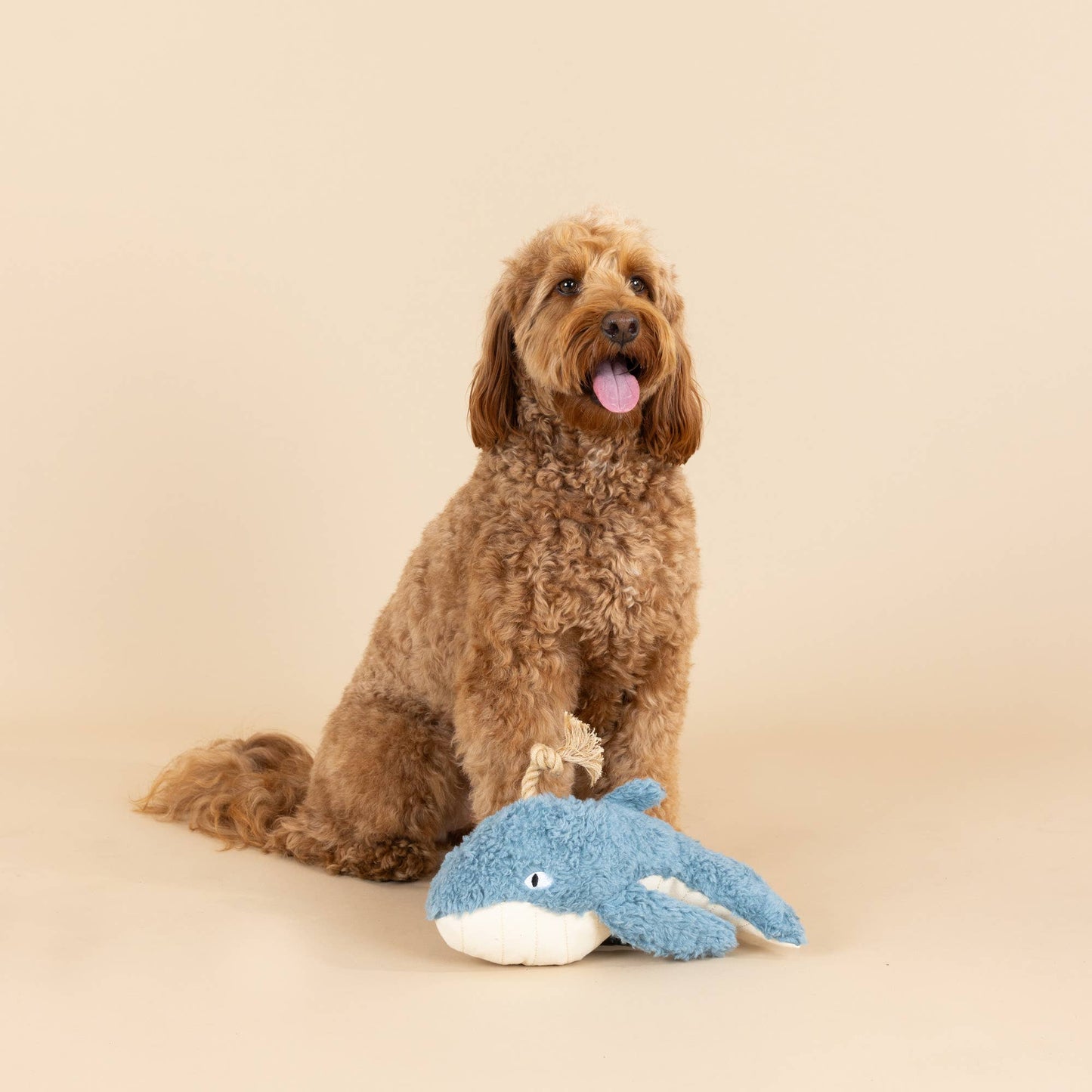 Earth Friendly Dog Toy Oh Whale