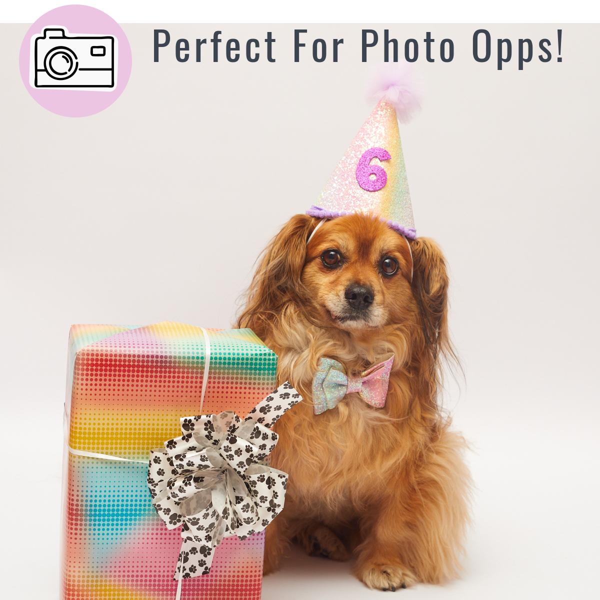 Rainbow Pastel Custom Happy Birthday Party Dog Hat & Bow