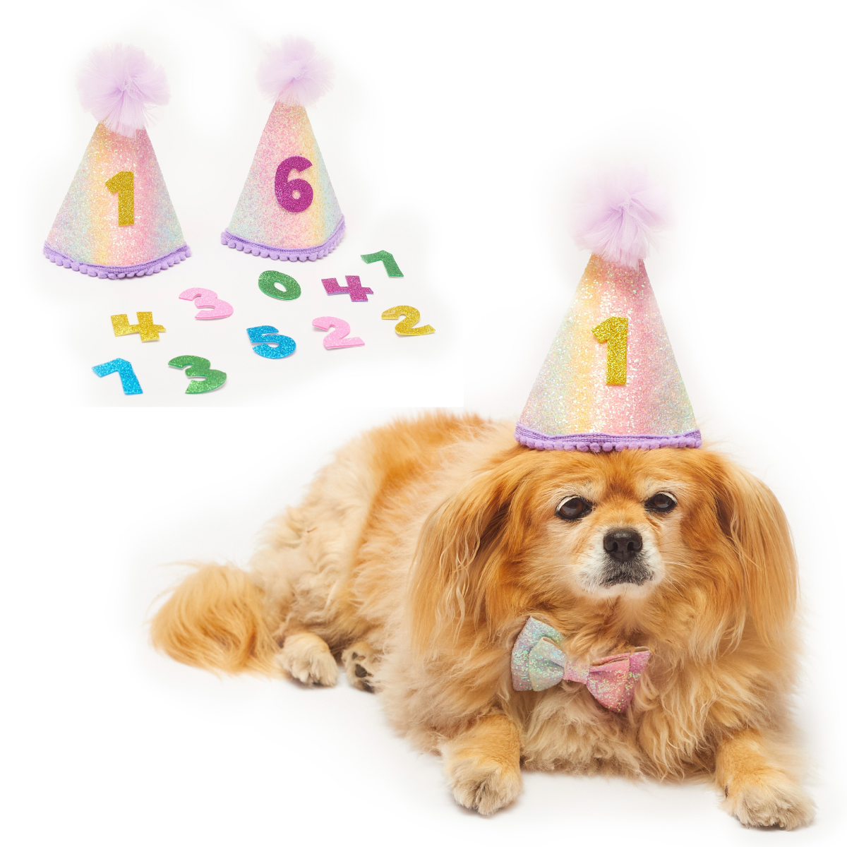 Rainbow Pastel Custom Happy Birthday Party Dog Hat & Bow